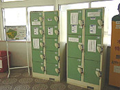 miyanourakou11.jpg (13725 oCg)
