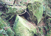 eko1-06.jpg (18152 oCg)