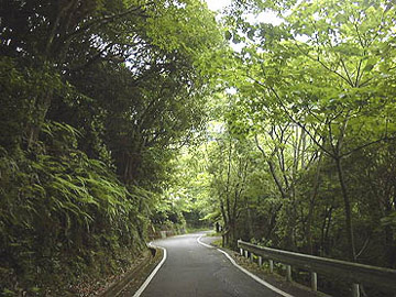 seibu05.jpg (46038 oCg)