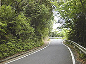 seibu06.jpg (19034 oCg)