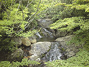 seibu09.jpg (23043 oCg)