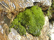 seibu12.jpg (20463 oCg)