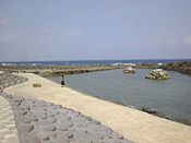 haruta01.jpg (13433 oCg)