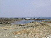 haruta02.jpg (15665 oCg)