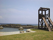 haruta03.jpg (15146 oCg)