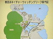 haruta06.jpg (17524 oCg)