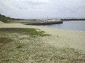 kurio02.jpg (16850 oCg)