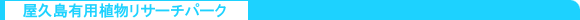 03.gif (1574 oCg)