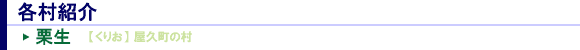 kurio.gif (2200 oCg)